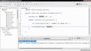 ActionScript 3.0 Tutorial-1(AS3 Language Fundamentals)