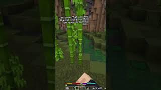 The Foraging Islands have some pretty fun secrets!  #hypixelskyblock #minecraft