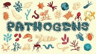 What Is A Pathogen?