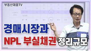 경매시장과 NPL부실채권 정리규모ㅣ이영준 교수