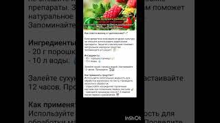 способы сохранить урожайность малины.