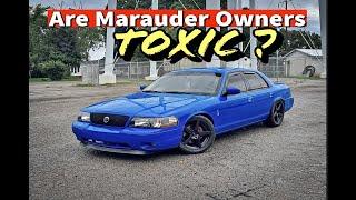 The Most TOXIC Members of the Panther Community??