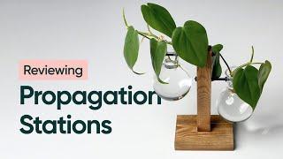 Reviewing Plant Propagation Stations from Amazon