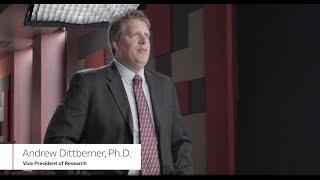 ReSound Binaural Directionality III - How it Works