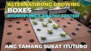 ALTERNATIBONG GROWING BOXES FOR KRATKY SYSTEM IN DIY HYDROPONICS FARMING | DIY Growing Lettuce Boxes