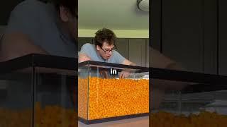 He ate 1 BILLION cheeseballs! 🟠 #shorts