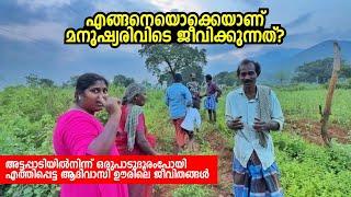 ഈ കാട്ടിലും മനുഷ്യർ ജീവിക്കുന്നു! Life in Remote Tribal Settlement - Attappadi - Tamilnadu