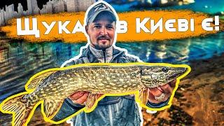 Чи клює щука в  Дніпрі: ловля щуки в Києві на джиг