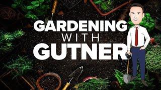 Gardening with Gutner: Houseplants