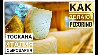 Италия Тоскана Сыродельня в Кьянти (Chianti): итальянский сыр Пекорино (Pecorino) #Авиамания