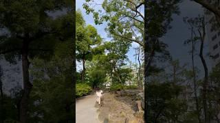 Nice weather today #tokyo #travel #lifeisbutadream #vlog