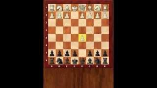 Schach für Anfänger. Eröffnungsfalle in der Skandinavischen Verteidigung. Eugen Grinis. Schach