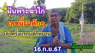 ฝันพระฆ่าไก่ เลขนี้มาคักๆ เล่าฝันครั้งแรกแฮกหมาน 16 ก.ย.67