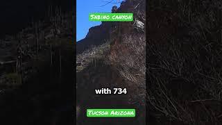 Sabino Canyon | Tucson Arizona #shorts