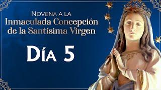 Novena de la Inmaculada Concepción de María  Día 5  |  #novena