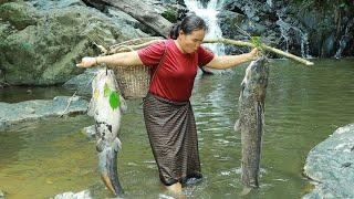 survival in the rainforest-found big murrel fish with mushroom for cook & give to pets HD