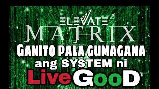 Ganito pala gumagana ang SYSTEMA ni LiveGood?