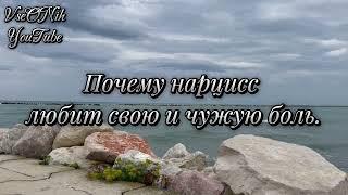 Почему нарцисс любит свою и чужую боль. Облегчение от страдания, очищение от боли окружающих. Сэм В.
