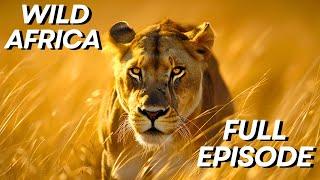 Wild Africa | Surviving The Savanna | Full Episode Wildlife Documentary