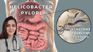 Magenkeim Helicobacter pylori -Bist Du Betroffen?  Übertragung, Symptome und Testung