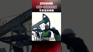 尼日成白眼狼，中國一招技術反制，令其油田癱瘓吃不了兜著走 #真實事件 #尼日 #油田 #歷史