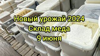 Новый урожай мёда 2024 в наличии.