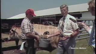 Agricultural Scientist Dr. Glenn Burton on Bermuda Grass in Georgia (August 7, 1980)