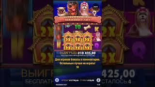 Занос в Dog House 10 x1930 BIG WIN Pragmatic Play