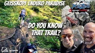 Love that Geisskopf trail, a stage of Chili Motion Enduro race! But it's hidden! Propain Spindrift