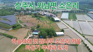 상주시 외남면 소은리 감나무밭과 무허가 주택