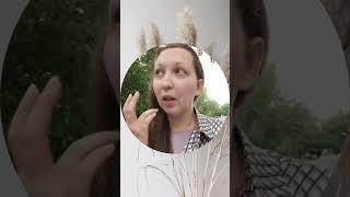 Миражи. #салтаненко #слово_божие