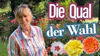 Die "richtigen" ROSEN für mich? Stefanie BESTÄTIGT: Nutze den Rosen-Auswahl-HELFER | Online - FILTER