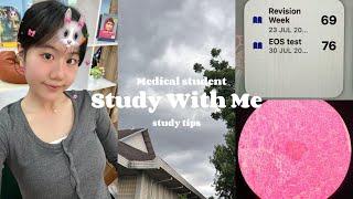 How many hours does a first year medical student study per day? Study tips🩺