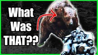 Fallout's Mutant Bears (Yao Guai) Explained