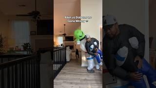 Alien deflated…  #shorts#reel#funny#pets#funny