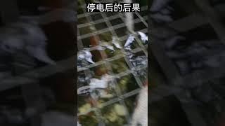 停电后的后果，After Power Failure