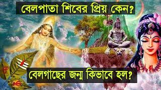 বেলগাছের জন্ম কিভাবে হল? বেলপাতা শিবের এত প্রিয় কেন?