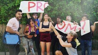 Prom | Hannah Stocking