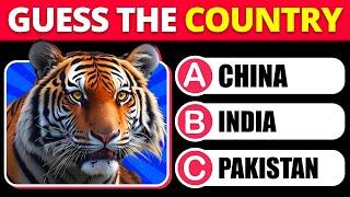 Guess The COUNTRY by The National Animal 