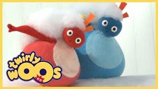 Büyük Twirlywoos Derleme! | Twirlywoos | Türk Çocuk Çizgi Filmleri | WildBrain Türkçe