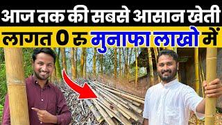 Bamboo Farming पर कर दी PHDकमाई देख कर हैरान रह जाओगेBamboo Business in India | Indian Farmer