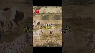 “缘分未尽，无法真正割舍；当内心强大，所有不合适的都会悄然离开。”#国学文化 #悟人生之道 #易学智慧#八字测算#事业运 #财运 #婚姻感情 #桃花运 #流年运势 #财富命理 #运势解析