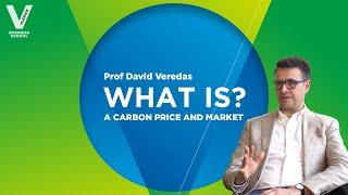 What is a carbon price and a carbon market?