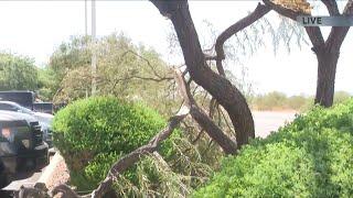 National Weather Service confirms tornado touched down in Tucson