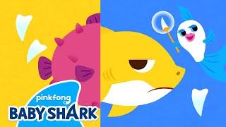 Where is Baby Shark's Tail? | +Compilation | Baby Shark Sing Along | Baby Shark Official