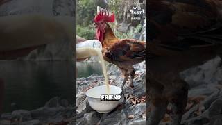 Delicious Friendship