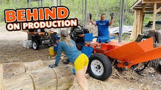 Falling Behind on Firewood – Time to Get Crackin’!