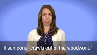 English in a Minute: Crawl Out of the Woodwork