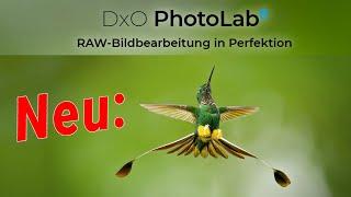 DxO PhotoLab 8 ist da !  ||  Jetzt mit großer Vorschau-Lupe !  ||  Alle Neuerungen in der Praxis