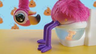 Little Live Pets | Gotta Go Flamingo | TVC 30